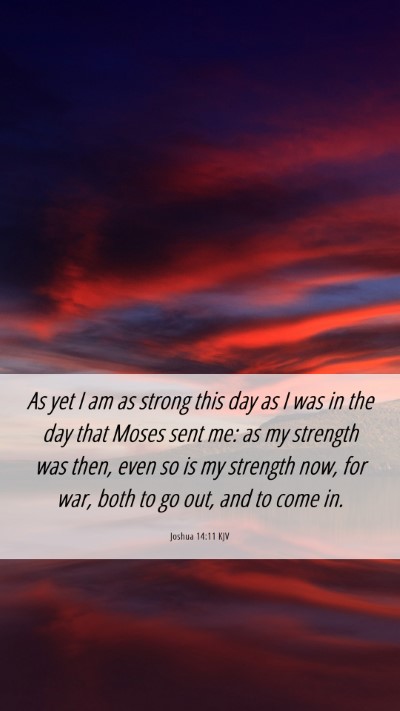 Picture 06 - Joshua 14:11 KJV Mobile Phone Wallpaper - As yet I am as strong this day as I was in the - Mobile Bible Verse Wallpaper