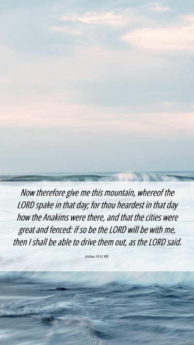 Picture 06 - Joshua 14:12 KJV Mobile Phone Wallpaper - Now therefore give me this mountain, whereof the - Mobile Bible Verse Wallpaper