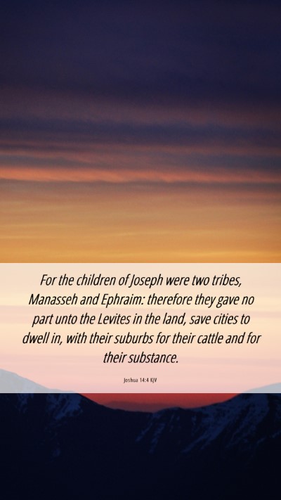 Picture 06 - Joshua 14:4 KJV Mobile Phone Wallpaper - For the children of Joseph were two tribes, - Mobile Bible Verse Wallpaper