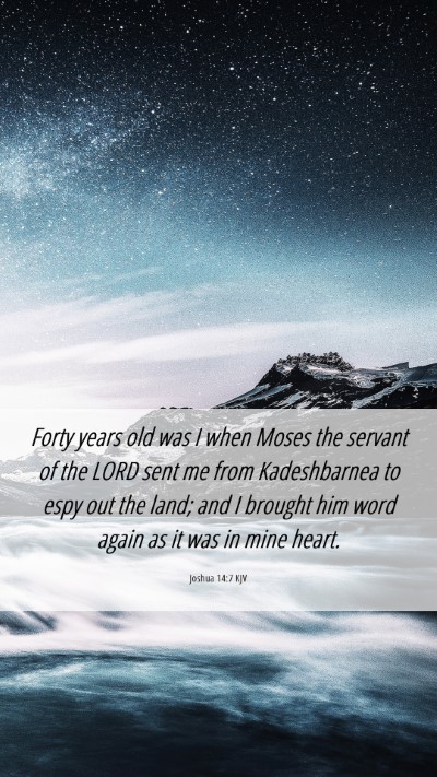 Picture 06 - Joshua 14:7 KJV Mobile Phone Wallpaper - Forty years old was I when Moses the servant of - Mobile Bible Verse Wallpaper