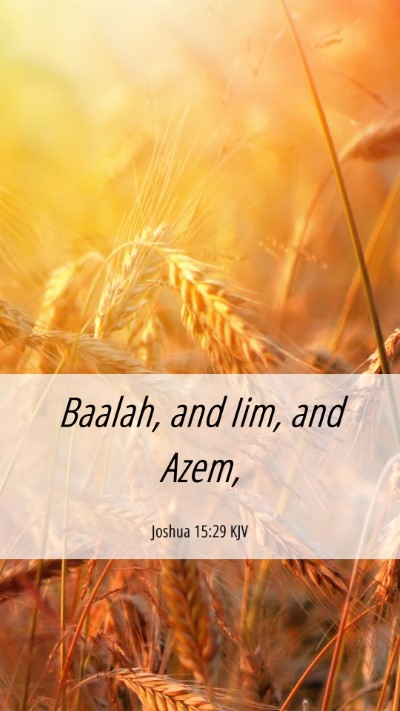 Picture 06 - Joshua 15:29 KJV Mobile Phone Wallpaper - Baalah, and Iim, and - Mobile Bible Verse Wallpaper