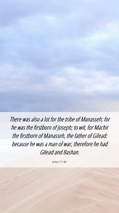 Picture 06 - Joshua 17:1 KJV Mobile Phone Wallpaper - There was also a lot for the tribe of Manasseh; - Mobile Bible Verse Wallpaper