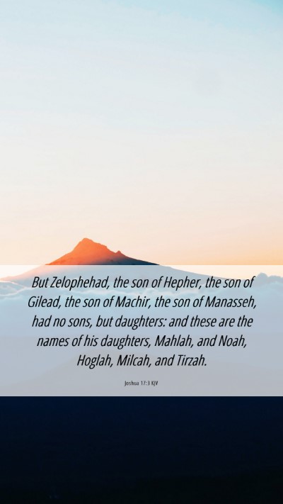 Picture 06 - Joshua 17:3 KJV Mobile Phone Wallpaper - But Zelophehad, the son of Hepher, the son of - Mobile Bible Verse Wallpaper