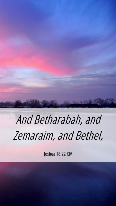 Picture 06 - Joshua 18:22 KJV Mobile Phone Wallpaper - And Betharabah, and Zemaraim, and - Mobile Bible Verse Wallpaper