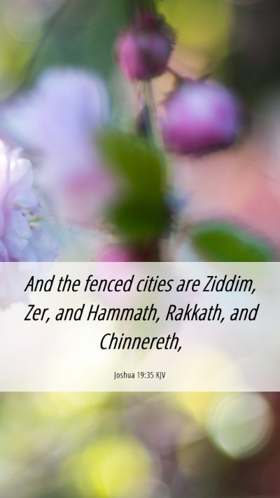 Picture 06 - Joshua 19:35 KJV Mobile Phone Wallpaper - And the fenced cities are Ziddim, Zer, and - Mobile Bible Verse Wallpaper
