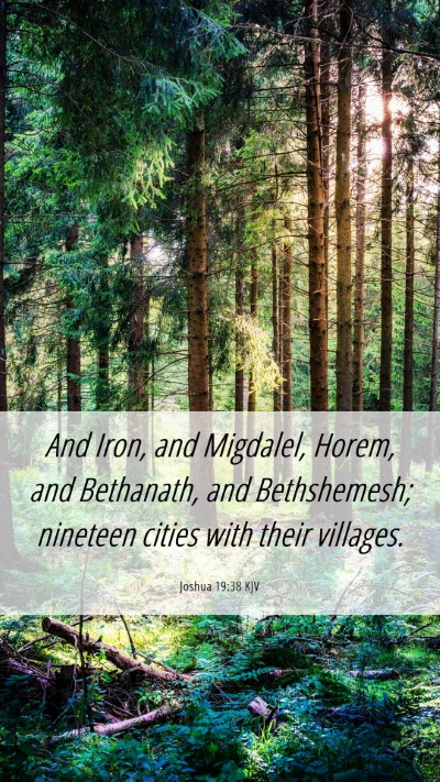 Picture 06 - Joshua 19:38 KJV Mobile Phone Wallpaper - And Iron, and Migdalel, Horem, and Bethanath, and - Mobile Bible Verse Wallpaper