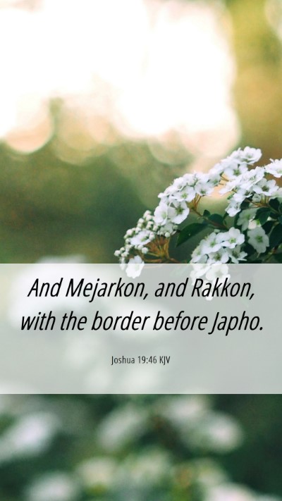 Picture 06 - Joshua 19:46 KJV Mobile Phone Wallpaper - And Mejarkon, and Rakkon, with the border before - Mobile Bible Verse Wallpaper