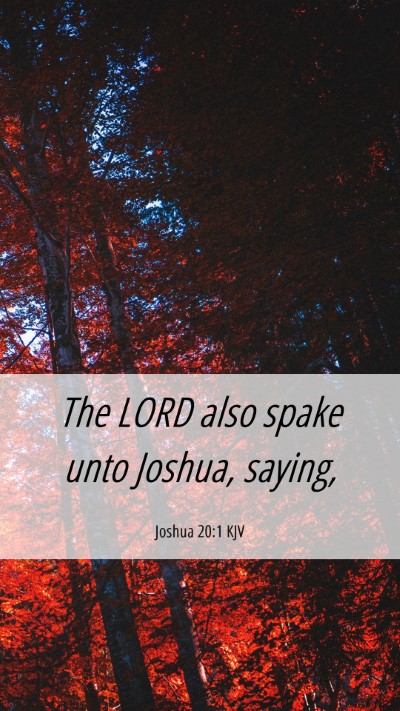 Picture 06 - Joshua 20:1 KJV Mobile Phone Wallpaper - The LORD also spake unto Joshua, - Mobile Bible Verse Wallpaper