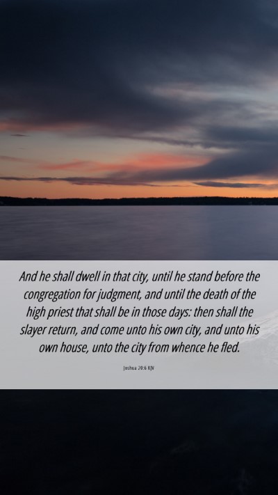 Picture 06 - Joshua 20:6 KJV Mobile Phone Wallpaper - And he shall dwell in that city, until he stand - Mobile Bible Verse Wallpaper