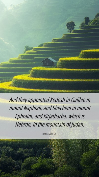 Picture 06 - Joshua 20:7 KJV Mobile Phone Wallpaper - And they appointed Kedesh in Galilee in mount - Mobile Bible Verse Wallpaper