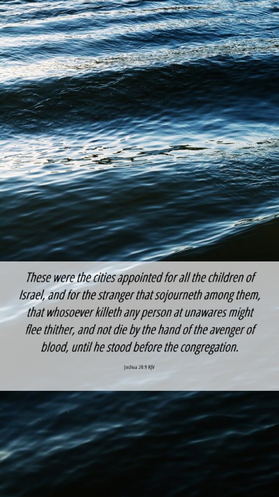 Picture 06 - Joshua 20:9 KJV Mobile Phone Wallpaper - These were the cities appointed for all the - Mobile Bible Verse Wallpaper