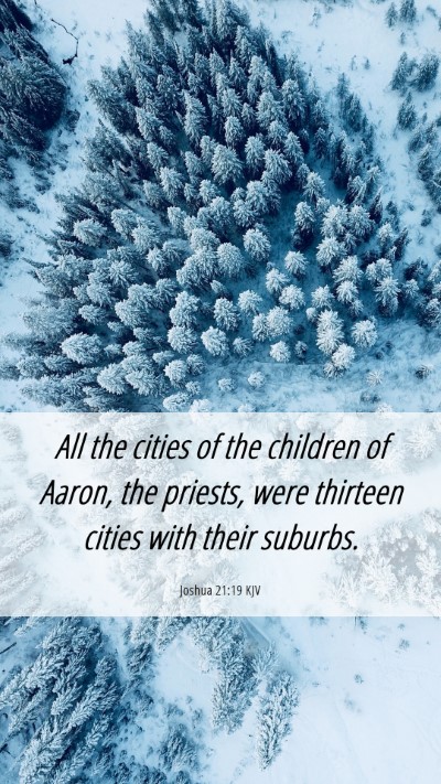 Picture 06 - Joshua 21:19 KJV Mobile Phone Wallpaper - All the cities of the children of Aaron, the - Mobile Bible Verse Wallpaper