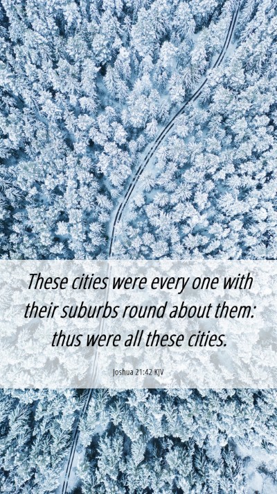 Picture 06 - Joshua 21:42 KJV Mobile Phone Wallpaper - These cities were every one with their suburbs - Mobile Bible Verse Wallpaper