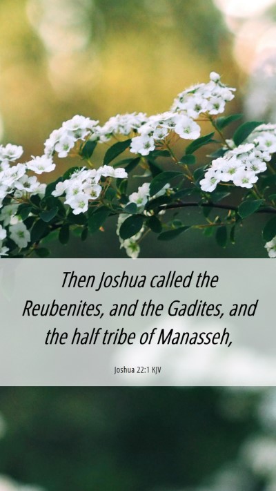 Picture 06 - Joshua 22:1 KJV Mobile Phone Wallpaper - Then Joshua called the Reubenites, and the - Mobile Bible Verse Wallpaper