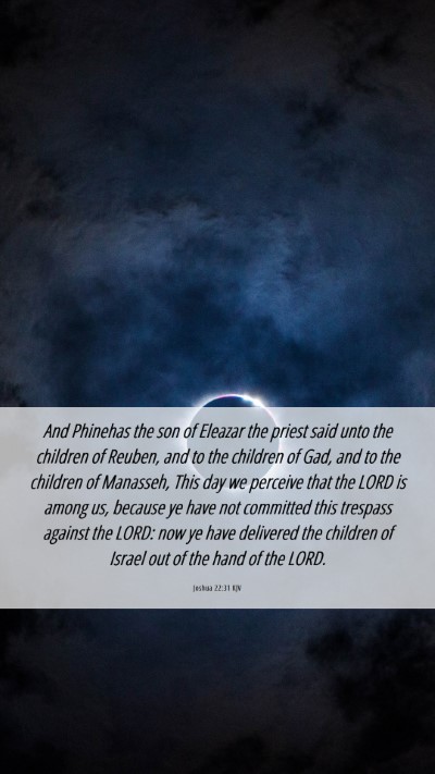 Picture 06 - Joshua 22:31 KJV Mobile Phone Wallpaper - And Phinehas the son of Eleazar the priest said - Mobile Bible Verse Wallpaper