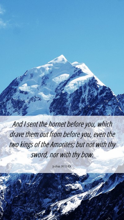Picture 06 - Joshua 24:12 KJV Mobile Phone Wallpaper - And I sent the hornet before you, which drave - Mobile Bible Verse Wallpaper
