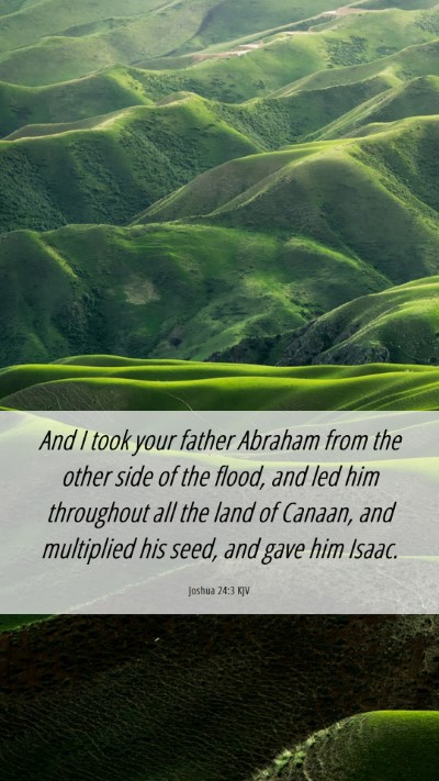 Picture 06 - Joshua 24:3 KJV Mobile Phone Wallpaper - And I took your father Abraham from the other - Mobile Bible Verse Wallpaper
