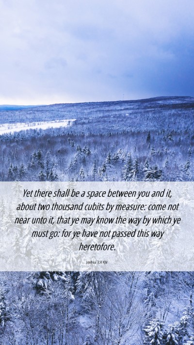 Picture 06 - Joshua 3:4 KJV Mobile Phone Wallpaper - Yet there shall be a space between you and it, - Mobile Bible Verse Wallpaper