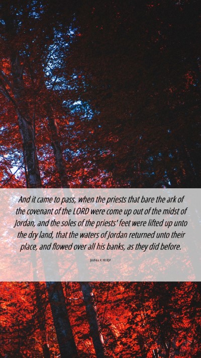 Picture 06 - Joshua 4:18 KJV Mobile Phone Wallpaper - And it came to pass, when the priests that bare - Mobile Bible Verse Wallpaper
