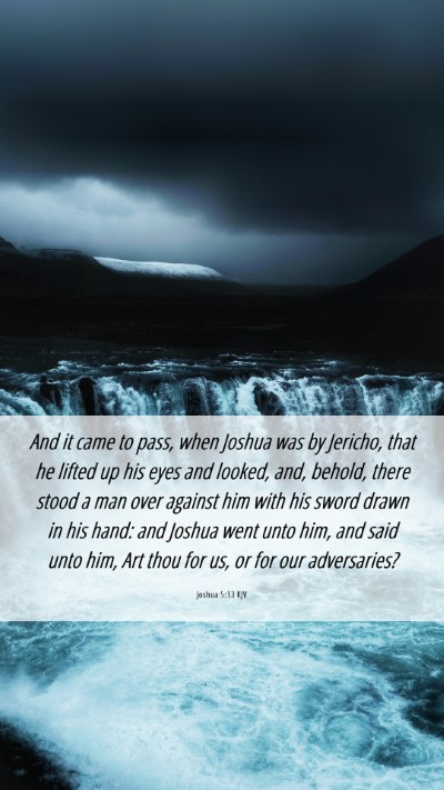 Picture 06 - Joshua 5:13 KJV Mobile Phone Wallpaper - And it came to pass, when Joshua was by Jericho, - Mobile Bible Verse Wallpaper
