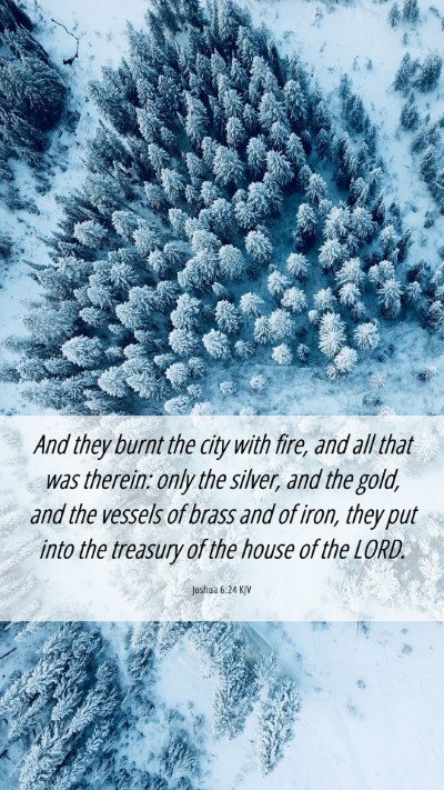 Picture 06 - Joshua 6:24 KJV Mobile Phone Wallpaper - And they burnt the city with fire, and all that - Mobile Bible Verse Wallpaper