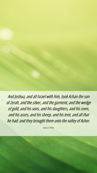 Picture 06 - Joshua 7:24 KJV Mobile Phone Wallpaper - And Joshua, and all Israel with him, took Achan - Mobile Bible Verse Wallpaper