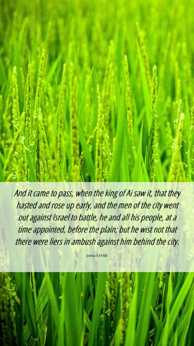 Picture 06 - Joshua 8:14 KJV Mobile Phone Wallpaper - And it came to pass, when the king of Ai saw it, - Mobile Bible Verse Wallpaper