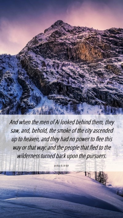 Picture 06 - Joshua 8:20 KJV Mobile Phone Wallpaper - And when the men of Ai looked behind them, they - Mobile Bible Verse Wallpaper