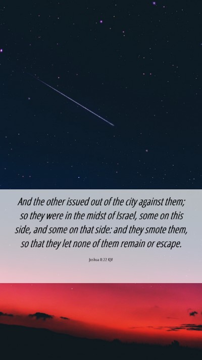 Picture 06 - Joshua 8:22 KJV Mobile Phone Wallpaper - And the other issued out of the city against - Mobile Bible Verse Wallpaper