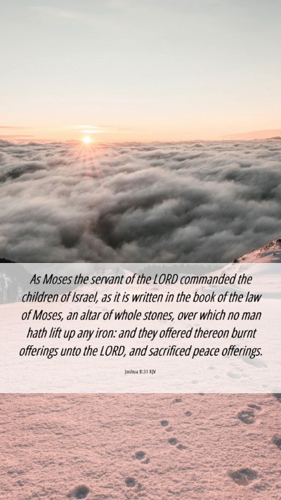 Picture 06 - Joshua 8:31 KJV Mobile Phone Wallpaper - As Moses the servant of the LORD commanded the - Mobile Bible Verse Wallpaper