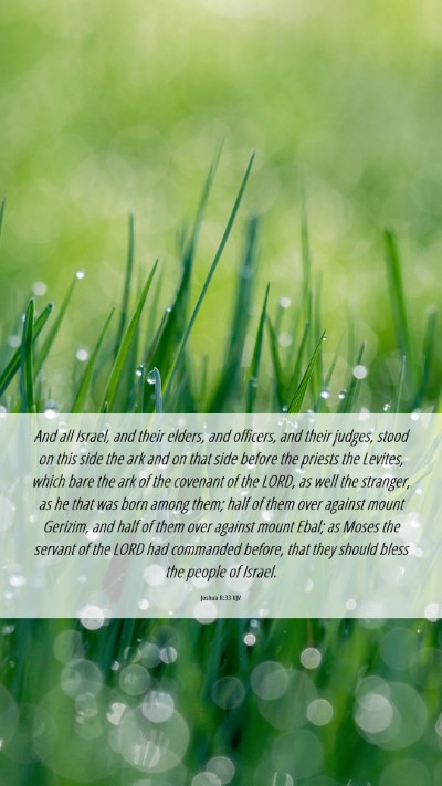 Picture 06 - Joshua 8:33 KJV Mobile Phone Wallpaper - And all Israel, and their elders, and officers, - Mobile Bible Verse Wallpaper
