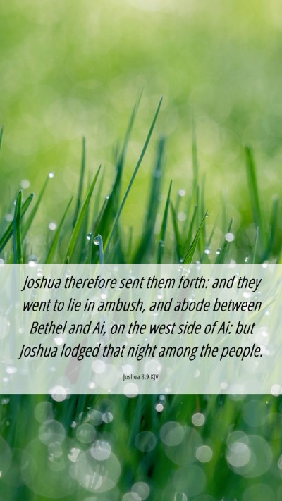 Picture 06 - Joshua 8:9 KJV Mobile Phone Wallpaper - Joshua therefore sent them forth: and they went - Mobile Bible Verse Wallpaper