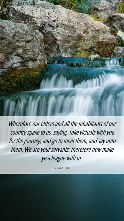Picture 06 - Joshua 9:11 KJV Mobile Phone Wallpaper - Wherefore our elders and all the inhabitants of - Mobile Bible Verse Wallpaper