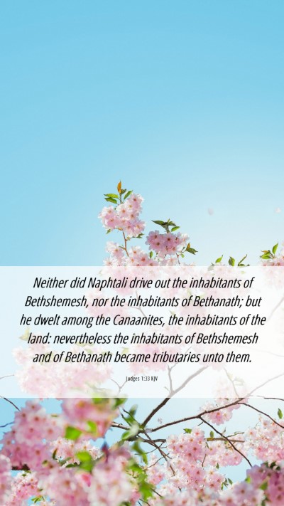 Picture 06 - Judges 1:33 KJV Mobile Phone Wallpaper - Neither did Naphtali drive out the inhabitants of - Mobile Bible Verse Wallpaper