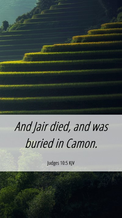 Picture 06 - Judges 10:5 KJV Mobile Phone Wallpaper - And Jair died, and was buried in - Mobile Bible Verse Wallpaper