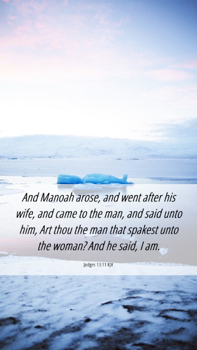 Picture 06 - Judges 13:11 KJV Mobile Phone Wallpaper - And Manoah arose, and went after his wife, and - Mobile Bible Verse Wallpaper