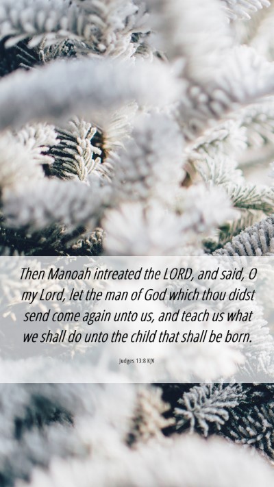 Picture 06 - Judges 13:8 KJV Mobile Phone Wallpaper - Then Manoah intreated the LORD, and said, O my - Mobile Bible Verse Wallpaper