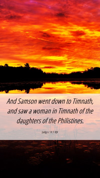 Picture 06 - Judges 14:1 KJV Mobile Phone Wallpaper - And Samson went down to Timnath, and saw a woman - Mobile Bible Verse Wallpaper