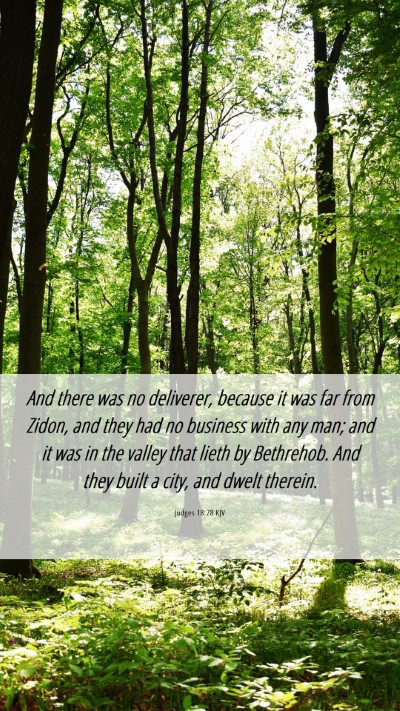 Picture 06 - Judges 18:28 KJV Mobile Phone Wallpaper - And there was no deliverer, because it was far - Mobile Bible Verse Wallpaper