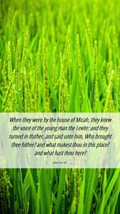 Picture 06 - Judges 18:3 KJV Mobile Phone Wallpaper - When they were by the house of Micah, they knew - Mobile Bible Verse Wallpaper