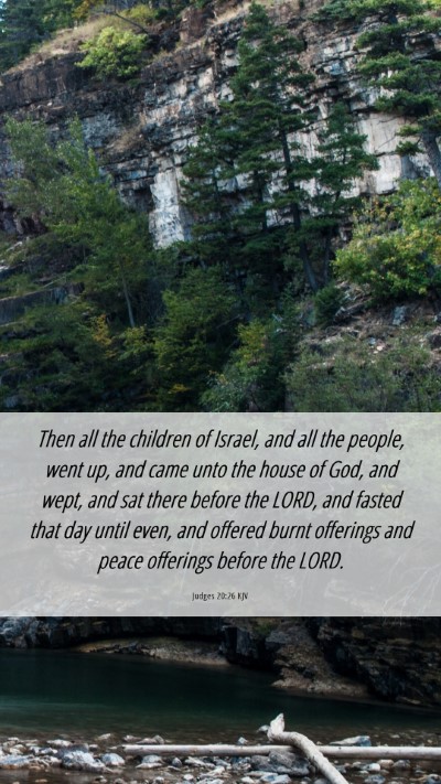 Picture 06 - Judges 20:26 KJV Mobile Phone Wallpaper - Then all the children of Israel, and all the - Mobile Bible Verse Wallpaper