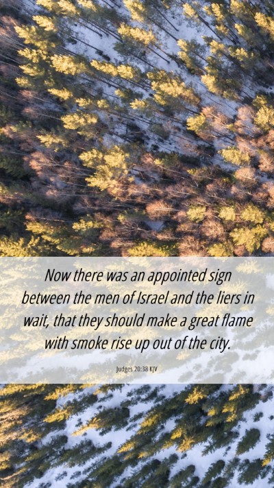 Picture 06 - Judges 20:38 KJV Mobile Phone Wallpaper - Now there was an appointed sign between the men - Mobile Bible Verse Wallpaper