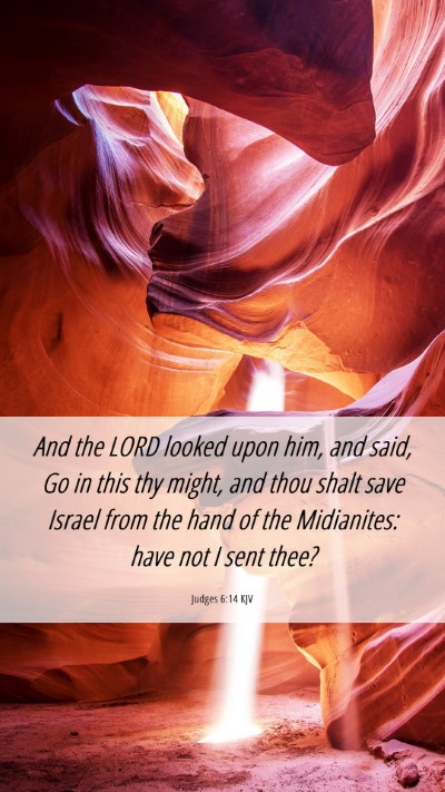 Picture 06 - Judges 6:14 KJV Mobile Phone Wallpaper - And the LORD looked upon him, and said, Go in - Mobile Bible Verse Wallpaper