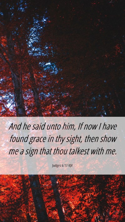 Picture 06 - Judges 6:17 KJV Mobile Phone Wallpaper - And he said unto him, If now I have found grace - Mobile Bible Verse Wallpaper