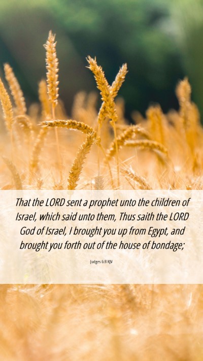 Picture 06 - Judges 6:8 KJV Mobile Phone Wallpaper - That the LORD sent a prophet unto the children of - Mobile Bible Verse Wallpaper