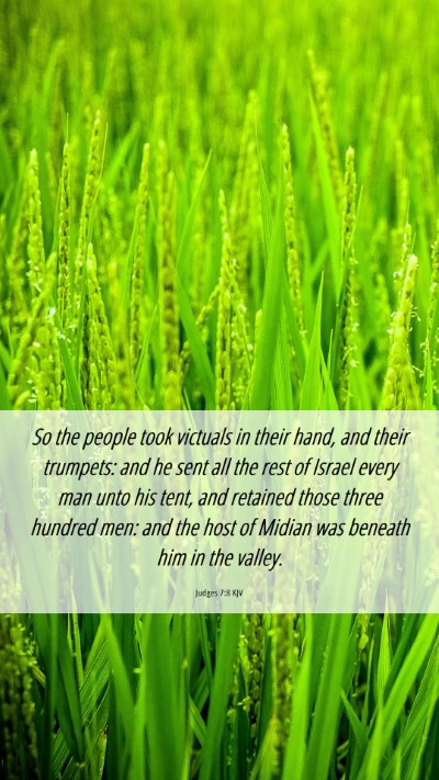 Picture 06 - Judges 7:8 KJV Mobile Phone Wallpaper - So the people took victuals in their hand, and - Mobile Bible Verse Wallpaper