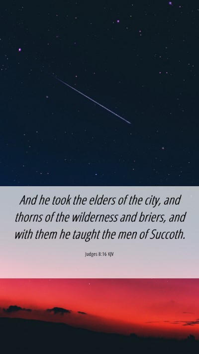 Picture 06 - Judges 8:16 KJV Mobile Phone Wallpaper - And he took the elders of the city, and thorns of - Mobile Bible Verse Wallpaper
