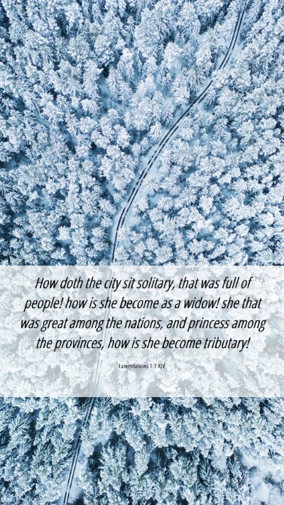 Picture 06 - Lamentations 1:1 KJV Mobile Phone Wallpaper - How doth the city sit solitary, that was full of - Mobile Bible Verse Wallpaper