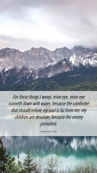 Picture 06 - Lamentations 1:16 KJV Mobile Phone Wallpaper - For these things I weep; mine eye, mine eye - Mobile Bible Verse Wallpaper