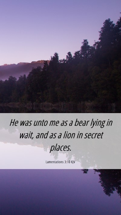Picture 06 - Lamentations 3:10 KJV Mobile Phone Wallpaper - He was unto me as a bear lying in wait, and as a - Mobile Bible Verse Wallpaper